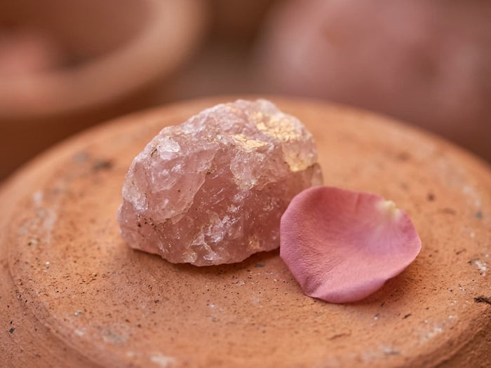 The Legend That Swapped a Flower for a Stone