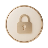 Secure checkout